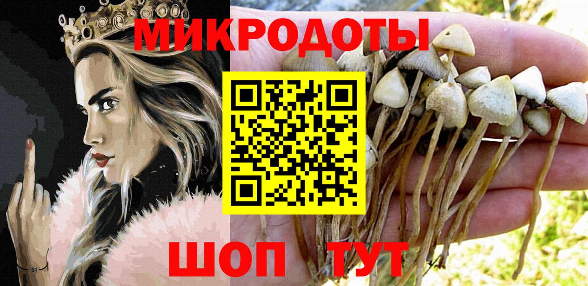 Псилоцибиновые грибы Psilocybine cubensis  Вход с VPN  Трёхгорный 